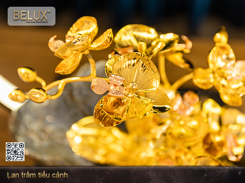hoa-lan-tram-tieu-canh-ma-vang-24k