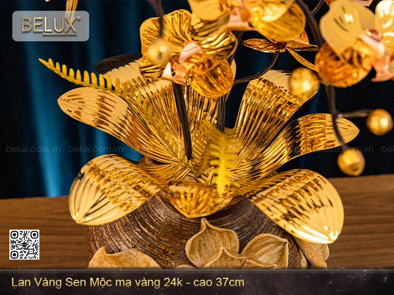 la-lan-vang-sen-moc-ma-vang-24k