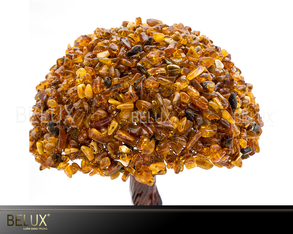 Cây tài lộc đá quý mẫu 4