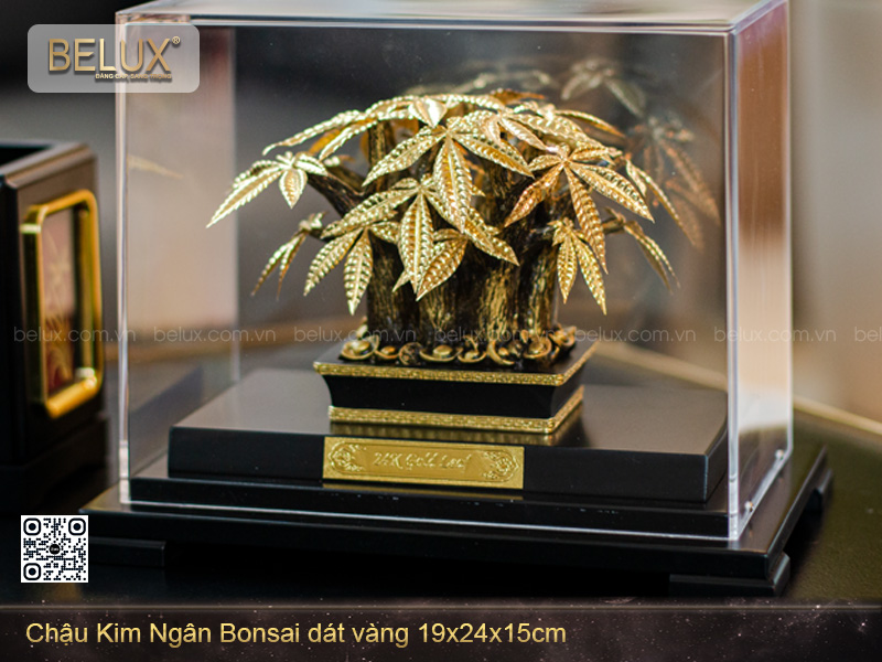 Chậu Kim Ngân Bonsai dát vàng 24K