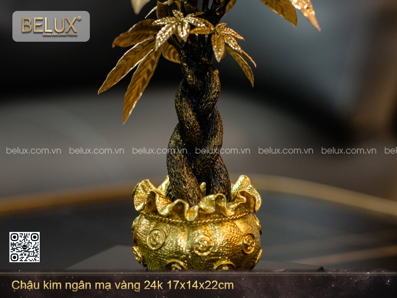 Chậu kim ngân mạ vàng 24k 17x14x22cm