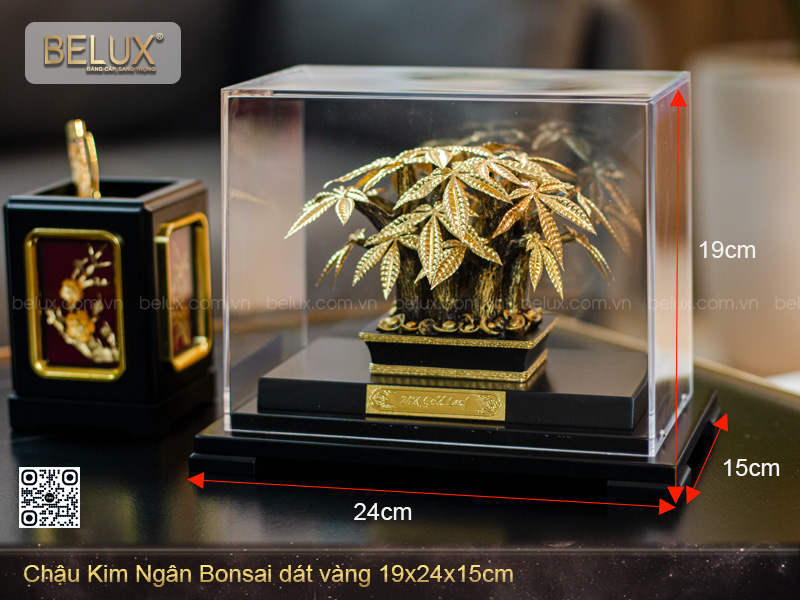 Chậu Kim Ngân Bonsai dát vàng 24K