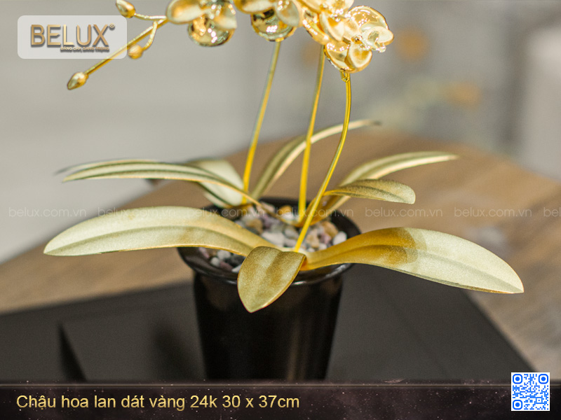 Chậu hoa lan dát vàng 24K