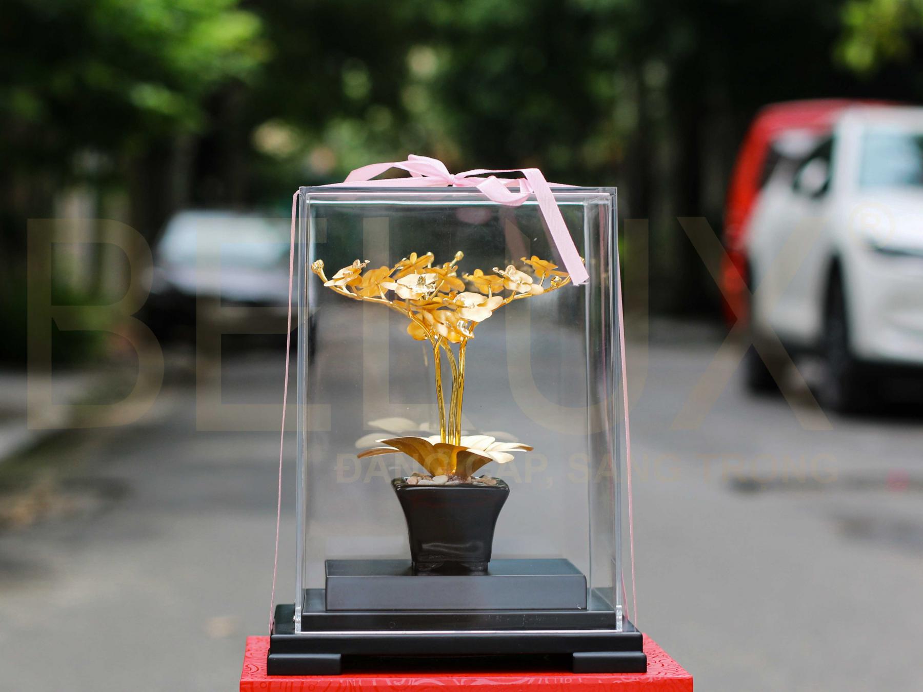 Chậu Hoa Lan Hồ Điệp 3 Nhánh Dát Vàng 24k