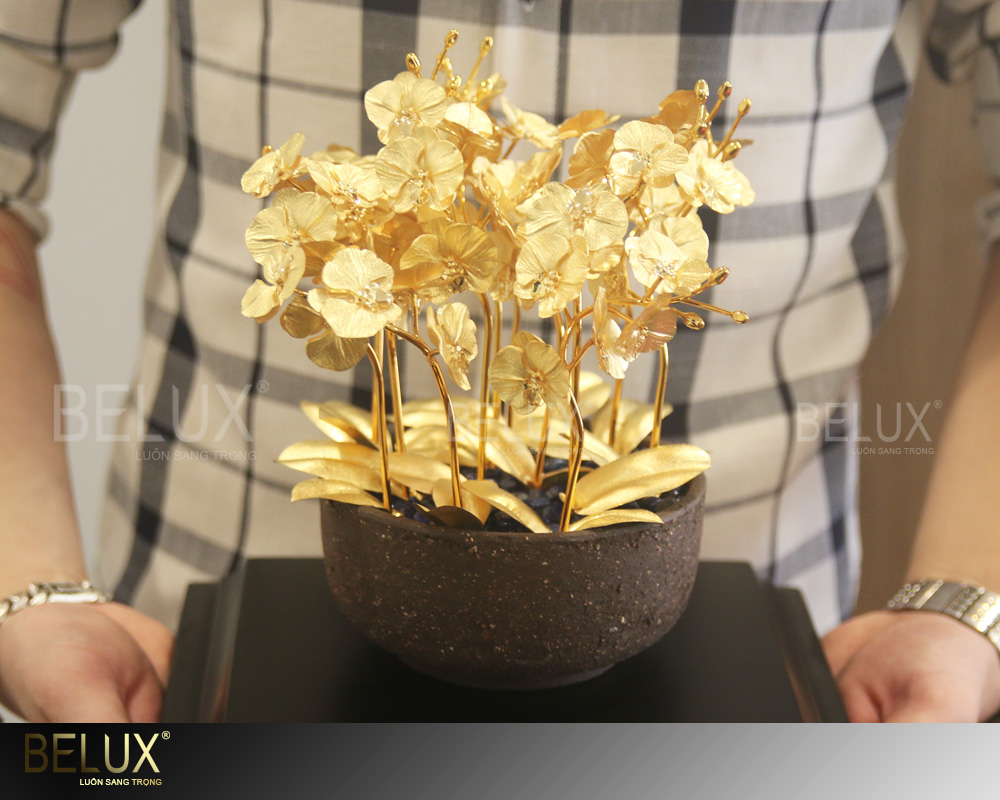 Chậu Lan Hồ Điệp 12 Cành Dát Vàng 24K
