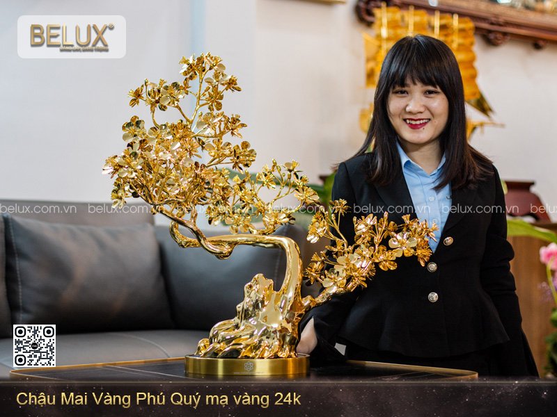 Chậu Mai Vàng Phú Quý Mạ Vàng 24K