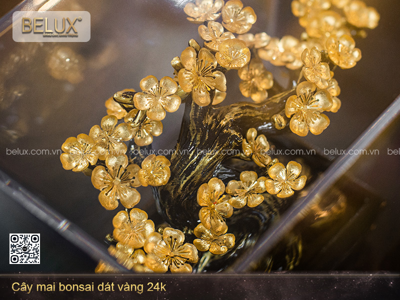 Cây Mai Bonsai Dát Vàng 24k