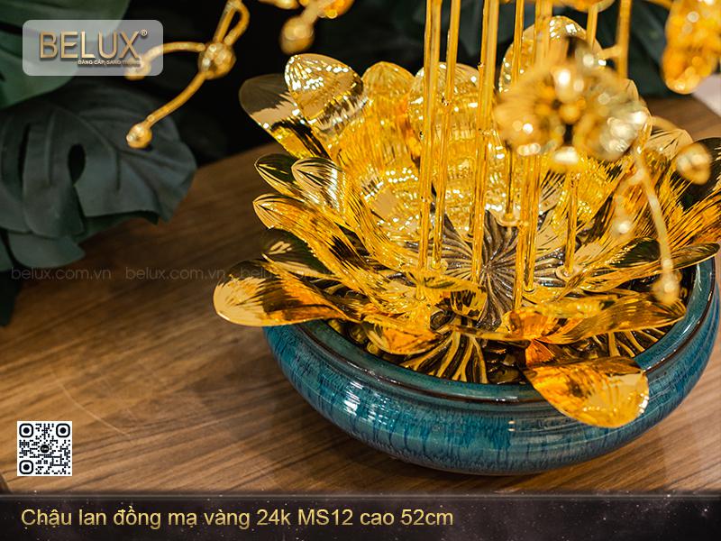 Chậu Lan bằng đồng mạ vàng 24k mẫu 12