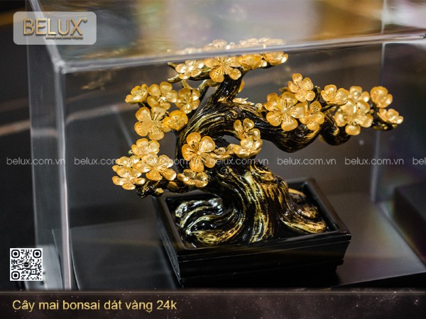 Cây mai bonsai dát vàng 24k