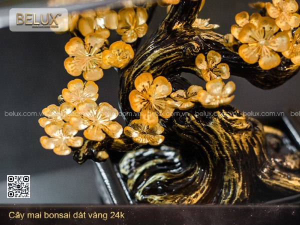 Cây mai bonsai dát vàng 24k