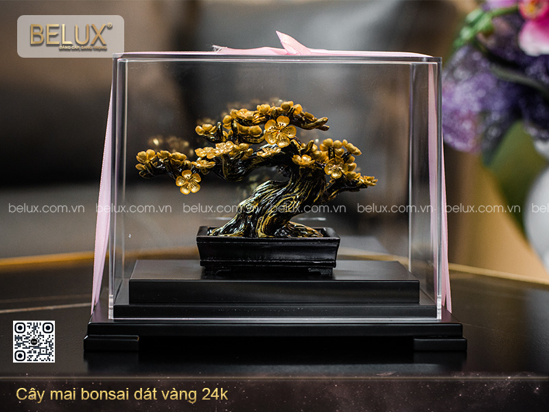 Cây mai bonsai dát vàng 24k