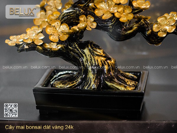 Cây mai bonsai dát vàng 24k